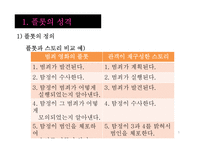[작품분석과 해석] 플롯 분석-플롯의 성격과 유형-5