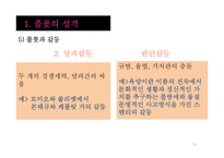 [작품분석과 해석] 플롯 분석-플롯의 성격과 유형-18