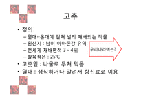 [식품재료학] 고추의 재료학적 가치와 기능성 식품 개발-4