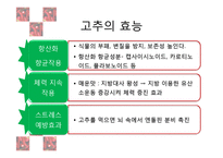[식품재료학] 고추의 재료학적 가치와 기능성 식품 개발-12