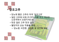 [식품재료학] 고추의 재료학적 가치와 기능성 식품 개발-15