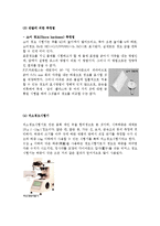 [생산제조공학] 경도(Hardness) 측정법-6