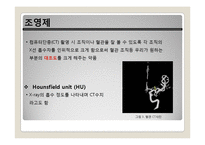 요오드가 함유된 나노 리포좀 조영제의 합성방법에 관한 연구-5