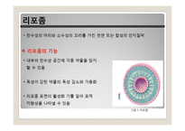 요오드가 함유된 나노 리포좀 조영제의 합성방법에 관한 연구-10