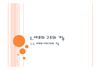 [교육공학] 교수법 시뮬레이션 방법-게임법(식물 세포와 동물 세포 차이점과 세포의 기능)-1