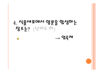 [교육공학] 교수법 시뮬레이션 방법-게임법(식물 세포와 동물 세포 차이점과 세포의 기능)-18