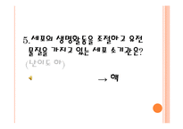 [교육공학] 교수법 시뮬레이션 방법-게임법(식물 세포와 동물 세포 차이점과 세포의 기능)-19