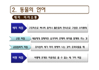 [언어교육] 동물의 언어와 언어의 기원-10