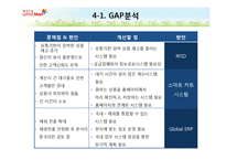 [MIS/PPT] 롯데마트 ISP 수립-16