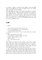 (A+자료) 미얀마의 역사와 특징조사 및 한국과의 관계 조사분석-5