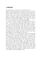 (A+자료) 쿠르디스탄의 정의 및 내용과 특징 조사분석-3
