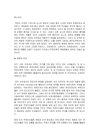 (A+자료) 쿠르디스탄의 정의 및 내용과 특징 조사분석-8