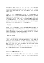 (A+자료) 쿠르디스탄의 정의 및 내용과 특징 조사분석-13