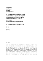 [심화보충형 수준별교육과정][수준별학습]심화보충형 수준별교육과정(학습)의미,기본원리, 심화보충형 수준별교육과정(학습)학습내용,개선과제,시사점-2