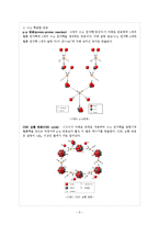 별의 진화 레포트-6