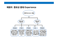 21세기 기업 경쟁력은 디자인(Design) & 디자인 성공 제품.기업 사례 분석-9