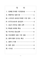 [삼성전자] 삼성전자의 일본 휴대폰 시장 진출전략 보고서-2