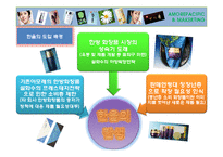 아모레퍼시픽의 한방화장품 한율의 시장개척방안-6