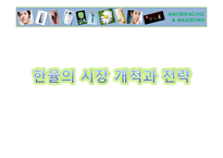 아모레퍼시픽의 한방화장품 한율의 시장개척방안-15
