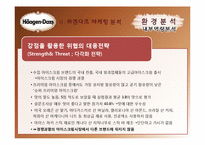 하겐다즈 마케팅전략-8