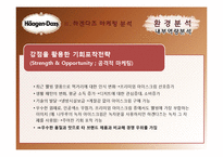 하겐다즈 마케팅전략-9