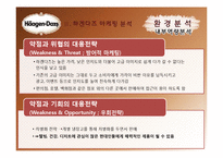 하겐다즈 마케팅전략-10