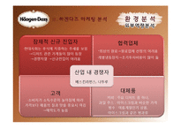 하겐다즈 마케팅전략-11