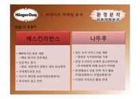 하겐다즈 마케팅전략-12