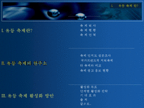 진주 유등축제 전략-2