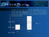 진주 유등축제 전략-14