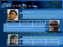 진주 유등축제 전략-18