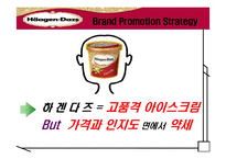 다양한 매체를 통한 하겐다즈 마케팅 확산 전략-9