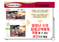 다양한 매체를 통한 하겐다즈 마케팅 확산 전략-15