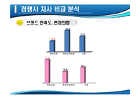 [마케팅] 아이나비 네비게이션의 국내 점유율 1위 수성을 위한 방어전략-18