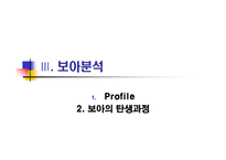 보아의 마케팅전략-7