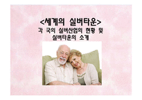각 국의 실버산업의 현황 및 실버타운의 소개-1