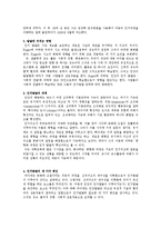 피아제, 삐아제(Piaget)의 인지발달이론-2