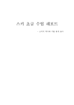 스키의 역사와 기본 동작 조사-1