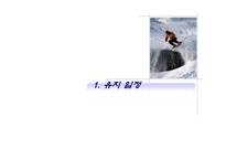 2014동계올림픽유치국민한마당-3