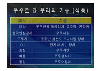 한국 최초 우주인의 의의 PPT-8
