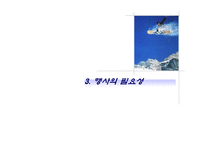 2014동계올림픽유치국민한마당-10