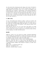 [노무현정부][참여정부][교육정책]노무현정부(참여정부)교육정책의 행보,공약,기본방향, 노무현정부(참여정부)교육정책의 문제점,공교육내실화정책-10