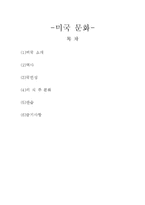 미국 문화 레포트-1