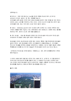 미국 문화 레포트-9