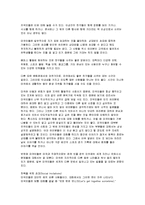 미국 문화 레포트-17