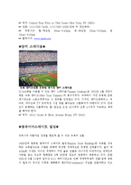 미국문화자원 레포트-10