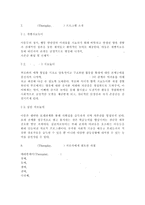 테라플레이에 대하여 서술하시오.-4