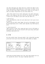 볼링 볼링의 역사 볼링 에티켓 볼링 테크닉0-11