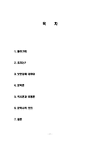 (A+자료) 최자의 문학론 보한집에 대한 비평 및 내용 조사분석-2