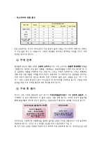 [소비자행동론] 로드샵을 통한 소비자행동분석-미샤의 로드샵 마케팅-4